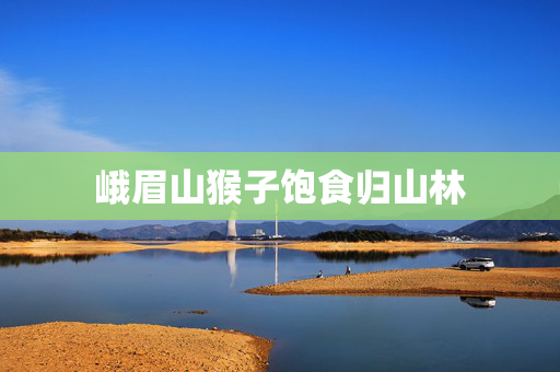 峨眉山猴子饱食归山林