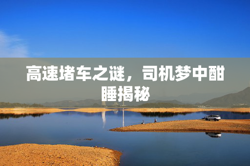 高速堵车之谜，司机梦中酣睡揭秘