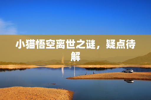 小猫悟空离世之谜，疑点待解