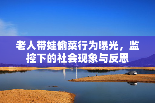 老人带娃偷菜行为曝光，监控下的社会现象与反思