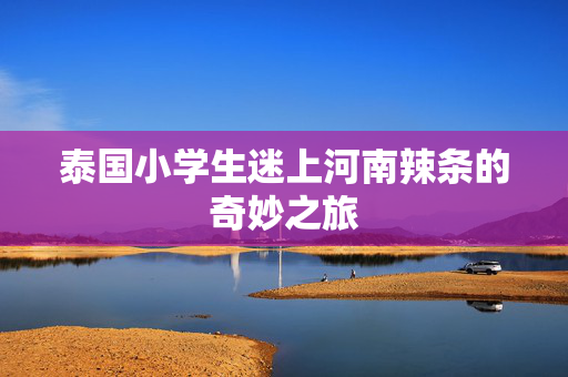 泰国小学生迷上河南辣条的奇妙之旅