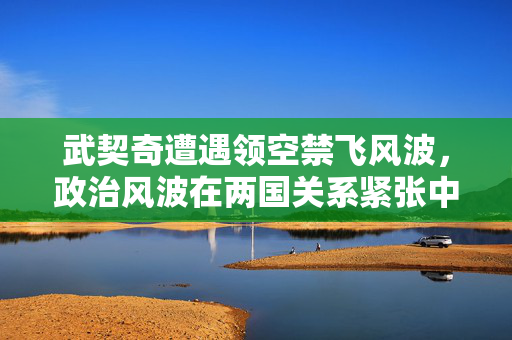 武契奇遭遇领空禁飞风波，政治风波在两国关系紧张中蔓延