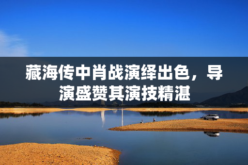 藏海传中肖战演绎出色，导演盛赞其演技精湛